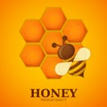 Honey label premium quality title. Paper cut style bee with honeycombs and Bee. Template design for beekeeping and honey product.